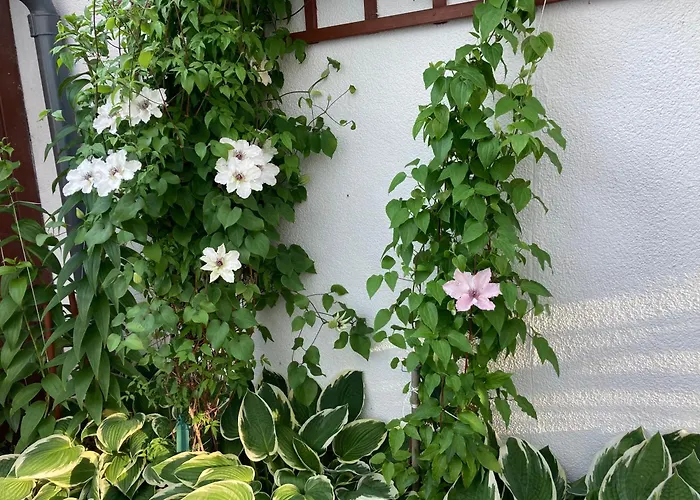 Apartament Casa Blanca Jastarnia